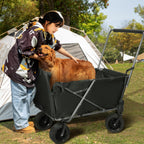 Heavy-Duty Folding Dog Wagon Cart